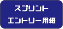 spエントリー用紙